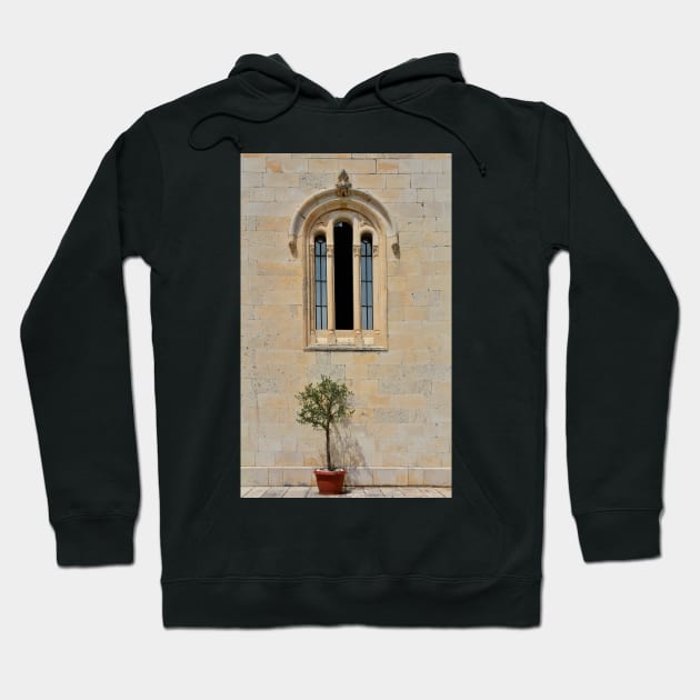 Olive Tree and Church Window Hoodie by jojobob